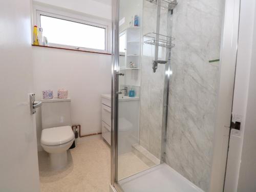 a bathroom with a shower and a toilet at 31 Seaward Crest in Norwich