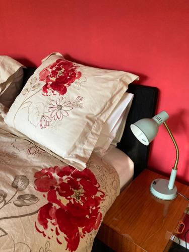 a bed with a pillow and a lamp on a table at Nieuw Kagelink in Diepenheim