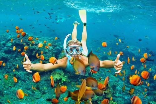 een persoon met een snorkel en een duiker in het water met vis bij Coco Villa Ukulhas in Ukulhas