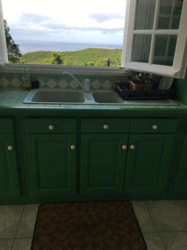 a green kitchen with a sink and a window at La Nicotoria Apartments in Deshaies
