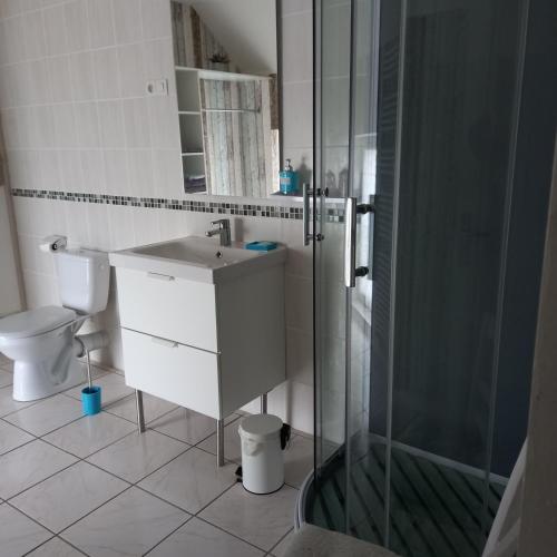 une salle de bain avec une douche, un lavabo et des toilettes dans l'établissement Les 4 vents, à Vineuil