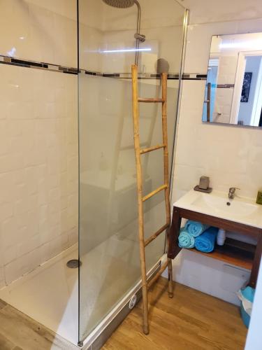 a shower with a glass door next to a sink at COZY Studio 331 ADR in Saint-François