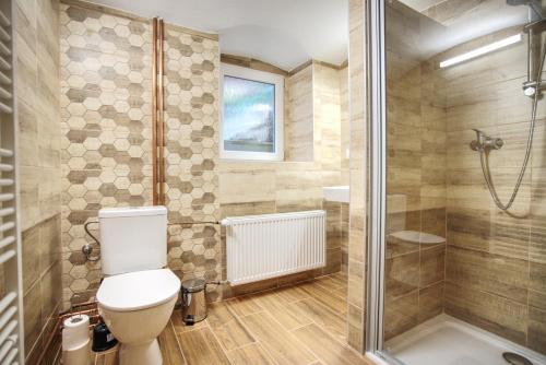 La salle de bains est pourvue d'une douche et de toilettes. dans l'établissement Apartmánek mezi kopci, à Jáchymov