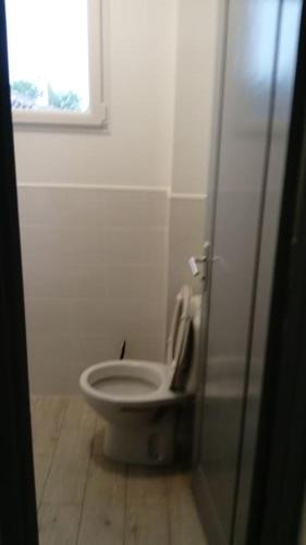 a white toilet in a bathroom with a window at baratzean in Uhart-Cize