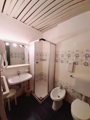 a bathroom with a shower and a toilet and a sink at Casa AQ28 sulle piste da sci in Falcade