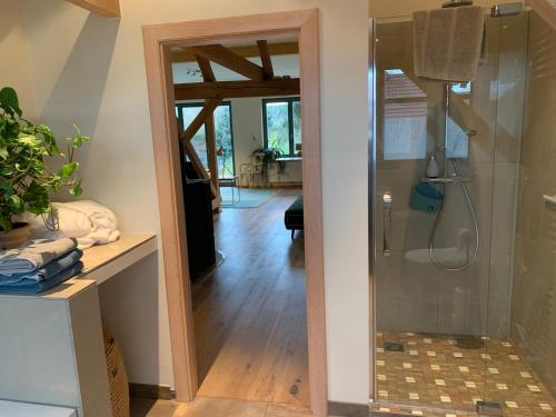 een badkamer met een douche en een glazen deur bij Kranichhof - Studio, Loft & Atelier in Zossen