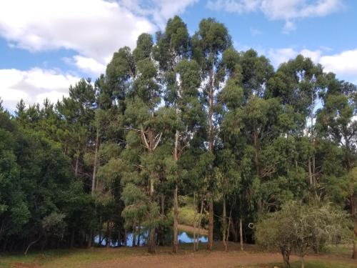 Landskap semula jadi dekat dengan chalet