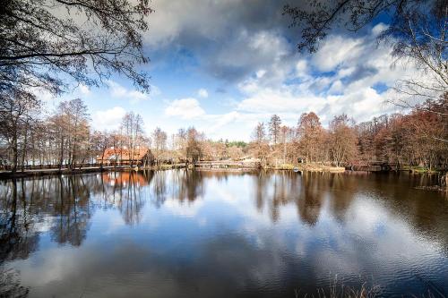 a view of a lake with trees and clouds at Hotel Dworek Wapionka in Górzno