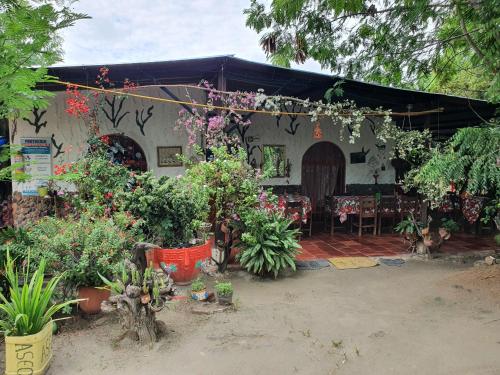 a house with a bunch of plants in front of it at Alojamiento Casa de campo los Cactus in Villavieja