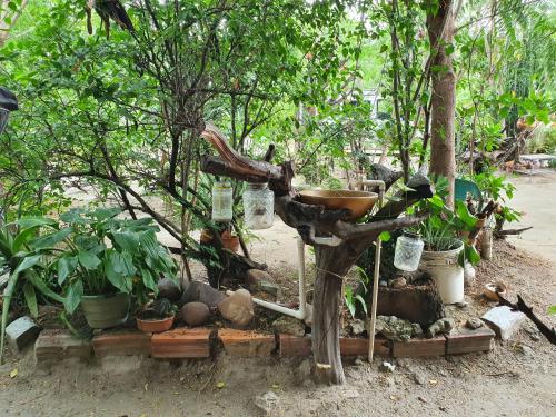 a garden with plants and a tree with a bowl on it at Alojamiento Casa de campo los Cactus in Villavieja