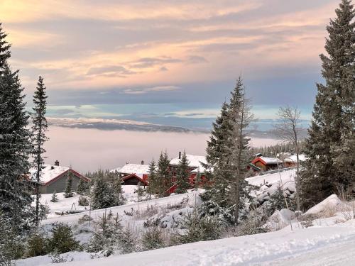 a view of a town in the snow at Ski and Bike-In and Out in Hafjell