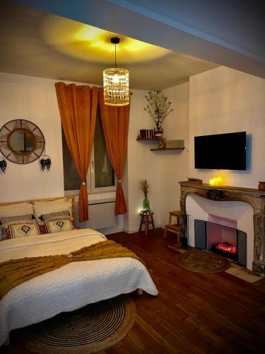 een slaapkamer met een bed, een open haard en een tv bij Bohème Spa Appartement privatif avec jacuzzi in Orléans