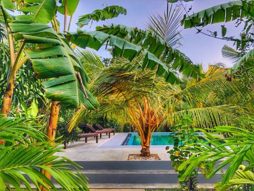 a resort with a pool and some palm trees at Richards Cabanas in Tissamaharama