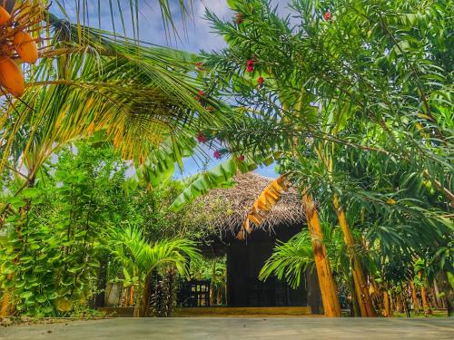 a group of palm trees in front of a building at Richards Cabanas in Tissamaharama