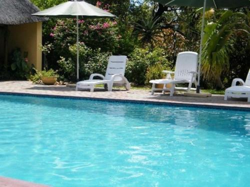 two chairs and an umbrella next to a swimming pool at Sunbird Lodge in Phalaborwa