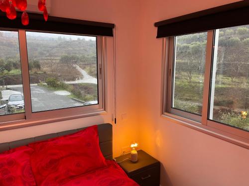a bedroom with two windows and a bed with red pillows at SOFROS VALLEY HILLS CHALET in Ayios Mamas