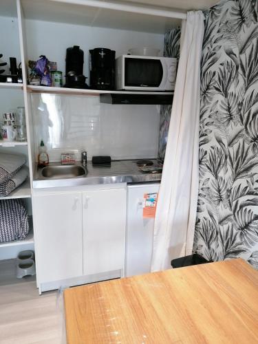 une petite cuisine avec un évier et un micro-ondes dans l'établissement Le repos chavagnais, à Chavagnes-en-Paillers