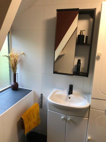 uma casa de banho com um lavatório e um espelho em Bungalow Durbuy em Durbuy