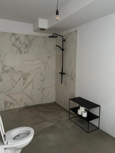 a bathroom with a toilet and a marble wall at Cloud9 in Bergen op Zoom