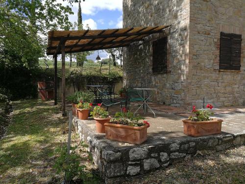 a group of potted plants sitting on a stone wall at Agriturismo Casa Greppo in San Venanzo