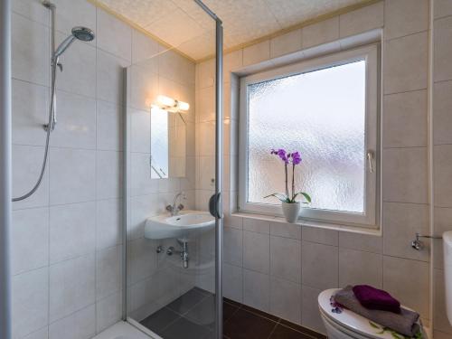 Un baño con ducha, inodoro y lavabo. en Alte Schmiede Talbach, en Laimach