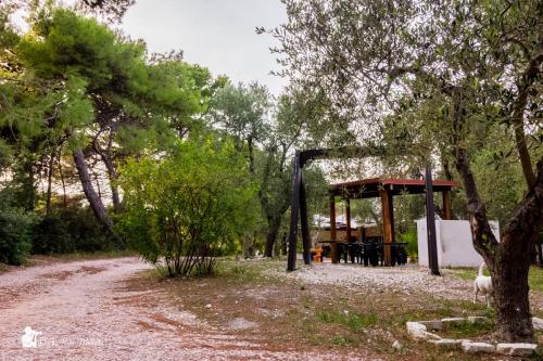 Gallery image of Villa Anna Residence Rodi in Rodi Garganico