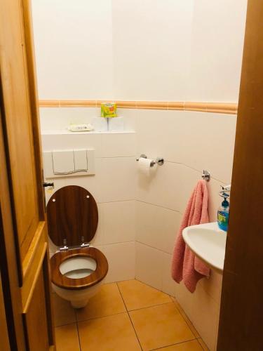 a bathroom with a toilet and a sink at Chata Vanda in Štrba