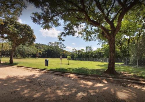 a park with a tree and a dirt road at K1 RESIDENCE Taquaral in Campinas