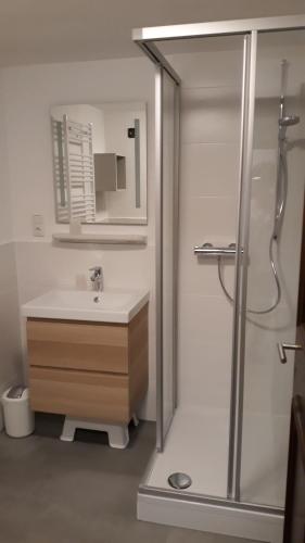 Kylpyhuone majoituspaikassa Haus Linn