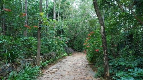 a brick path in the middle of a forest at Blue Valley Estate-12 Acre Forest-Silver Oak-Villa in Yercaud