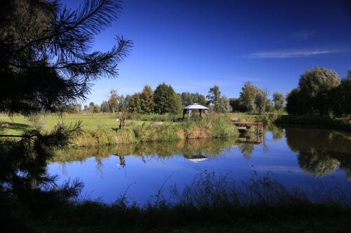 a pond with a gazebo next to a river at Agroturystyka Żuławiaczek in Nowy Dwór Gdański