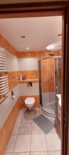 a bathroom with a toilet and a shower at Nad Morzem in Gdańsk
