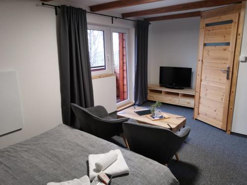 a room with a bed and a table and a television at Wellness Hotel Koliba in Komorní Lhotka