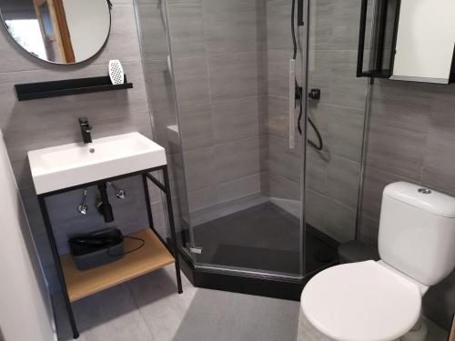 a bathroom with a shower and a toilet and a sink at Wellness Hotel Koliba in Komorní Lhotka