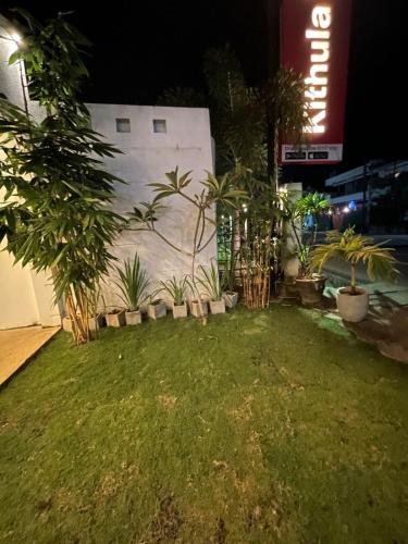 a yard with plants in front of a building at KITHULA Boutique Hotel in Hikkaduwa