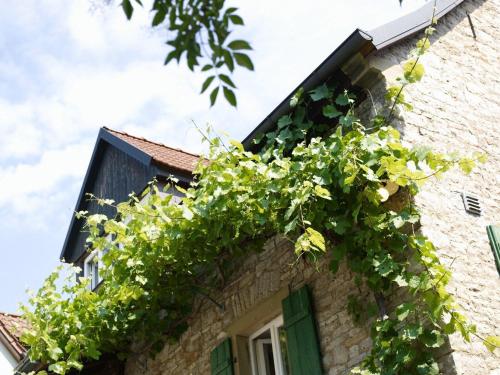 a building with plants on the side of it at Vinotel Augustin in Sulzfeld am Main