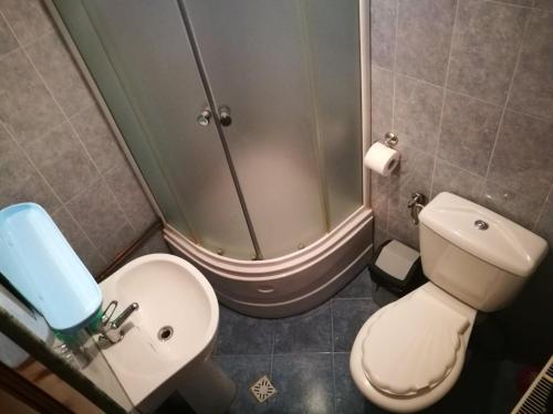 een badkamer met een toilet, een wastafel en een douche bij Pensiunea Poiana in Borşa