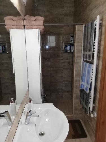 a bathroom with a sink and a shower at Budapest Wigwam 140 m2 in Budapest