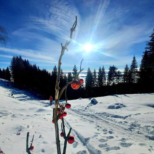Το Golte SkiCenter App MOUNTAIN VIEW WITH BALCONY τον χειμώνα