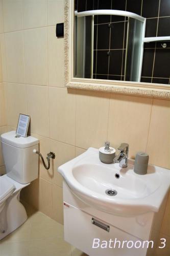 a bathroom with a sink and a mirror and a toilet at Fortezza Apartment in Herceg-Novi