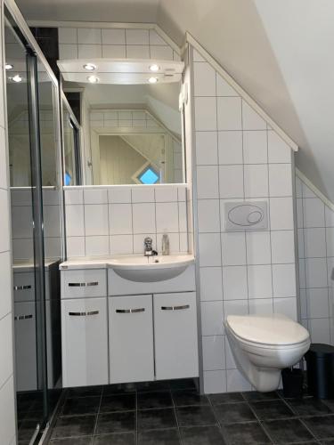 a bathroom with a toilet and a sink and a mirror at Presttind - Studio apartment with free parking in Narvik