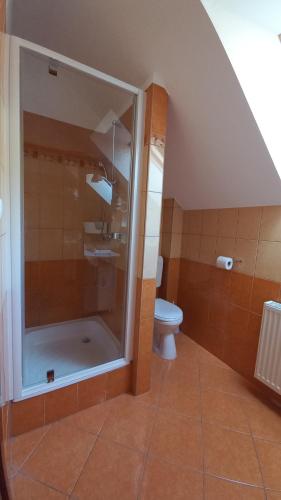 a bathroom with a shower and a toilet at Nefelejcs Fagyizó és Apartmanház in Kistolmács