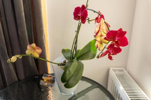 a vase with flowers on a glass table at Kwatery PogodneWczasy w Jantarze in Jantar