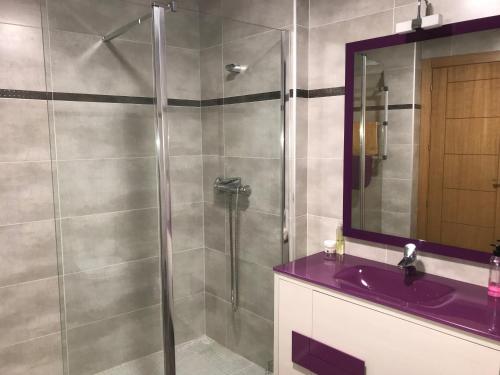 a bathroom with a shower and a purple sink at Lacasadeyolandayedu in Medina del Campo