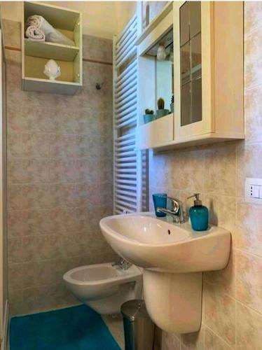 a bathroom with a sink and a toilet at B&B il Faso vicino Zoosafari di Fasano in Fasano