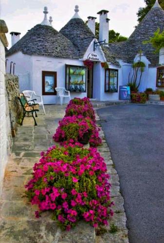 a garden of pink flowers in front of a building at B&B il Faso vicino Zoosafari di Fasano in Fasano