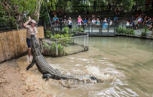 a man holding a large crocodile in the water at Palm Cove Beachside Apartments - Sea and Mountain Views in Palm Cove