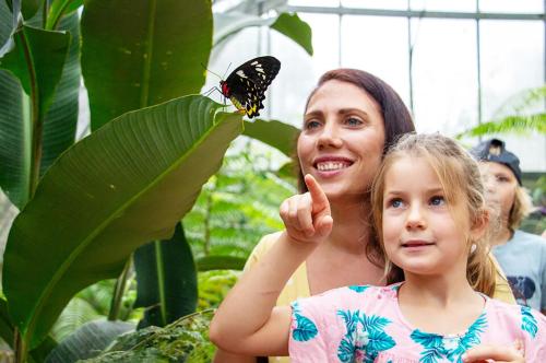a woman and a little girl with a butterfly on a leaf at Palm Cove Beachside Apartments - Sea and Mountain Views in Palm Cove