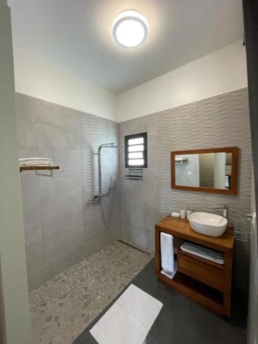 a bathroom with a sink and a shower at RIVERVIEW in Saint-Pierre