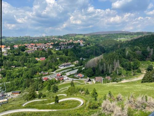 a winding road in the middle of a green field at Breeman im Harz in Sankt Andreasberg